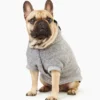 Pooch Salt And Pepper Hoody Size