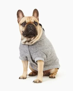 Pooch Salt And Pepper Hoody Size