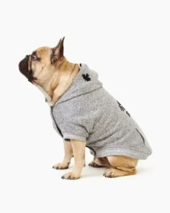 Pooch Salt And Pepper Hoody Size -Unde Clothing Shop https3A2F2Fwww.roots .com2Fdw2Fimage2Fv22FBGGS PRD2Fon2Fdemandware.static2F 2FSites roots master catalog2Fdefault2Fdwebd076632Fimages2F45040228 008 c.jpg3Fsw3D120026sh3D120026sm3Dfit 640x