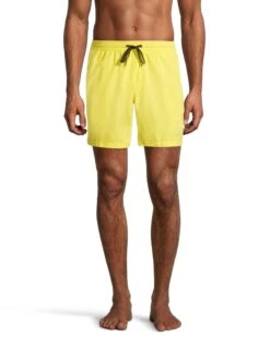 Quiksilver Men's Everyday Swim Volley Shorts 17" With Mesh Brief