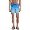 Quiksilver Men's Everyday Wrpd Logo 17 Inch Volley Shorts