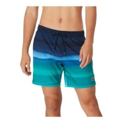 Speedo Men's Redondo Edge 17 Inch Volley Shorts